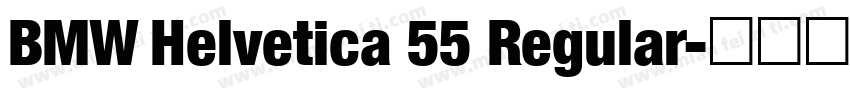 BMW Helvetica 55 Regular字体转换
